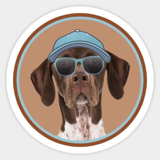 Cool German Shorthaired Pointer in cap and sunglasses! Especially for GSP owners! Sticker